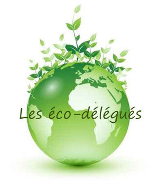 logo-ecodelegues-2020.jpg