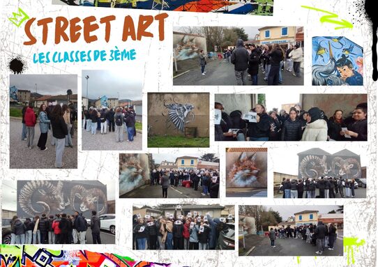 Aussillon Street Art.jpg